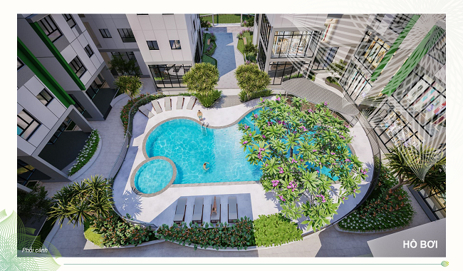 81