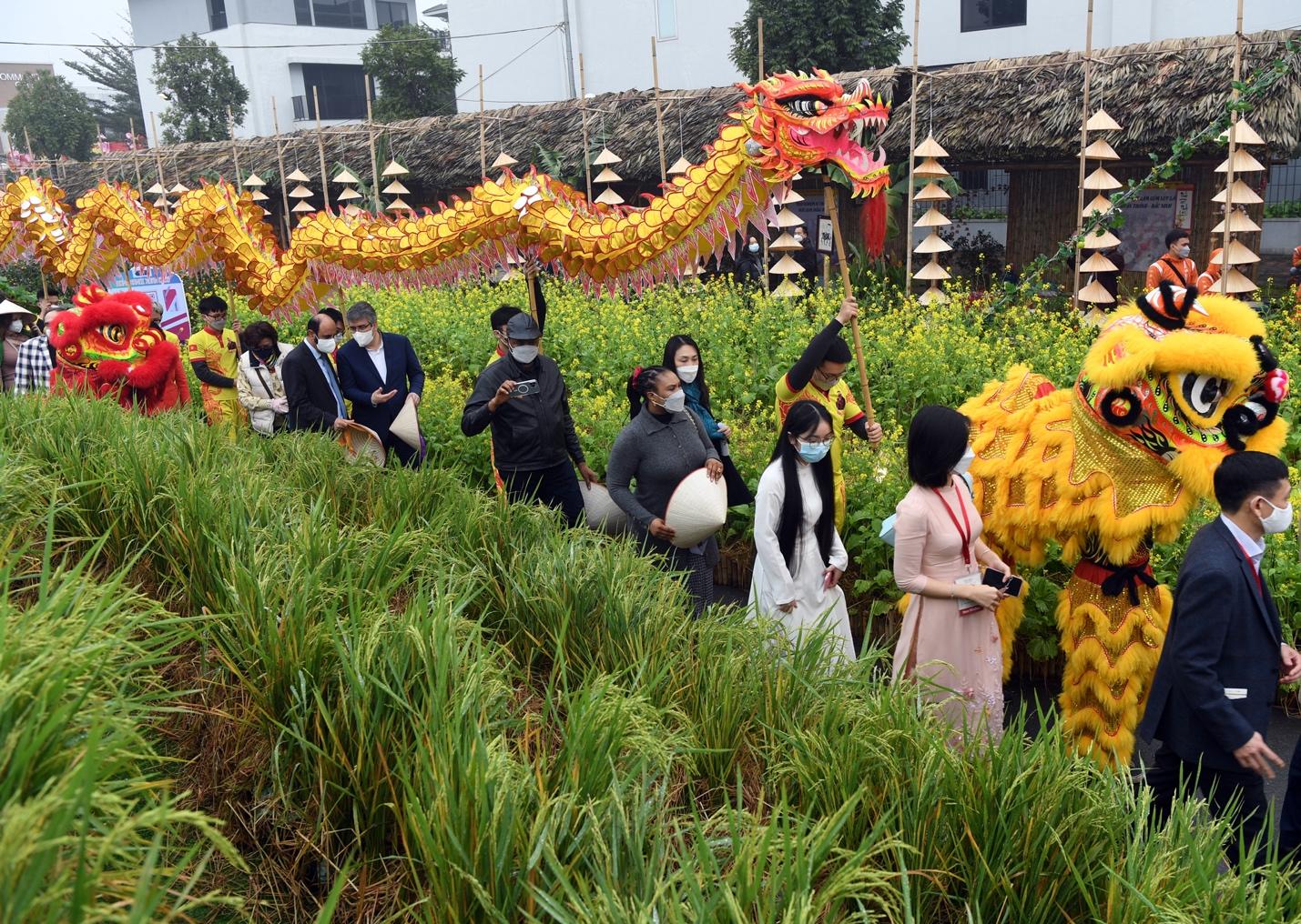 phu-long-5-4606201